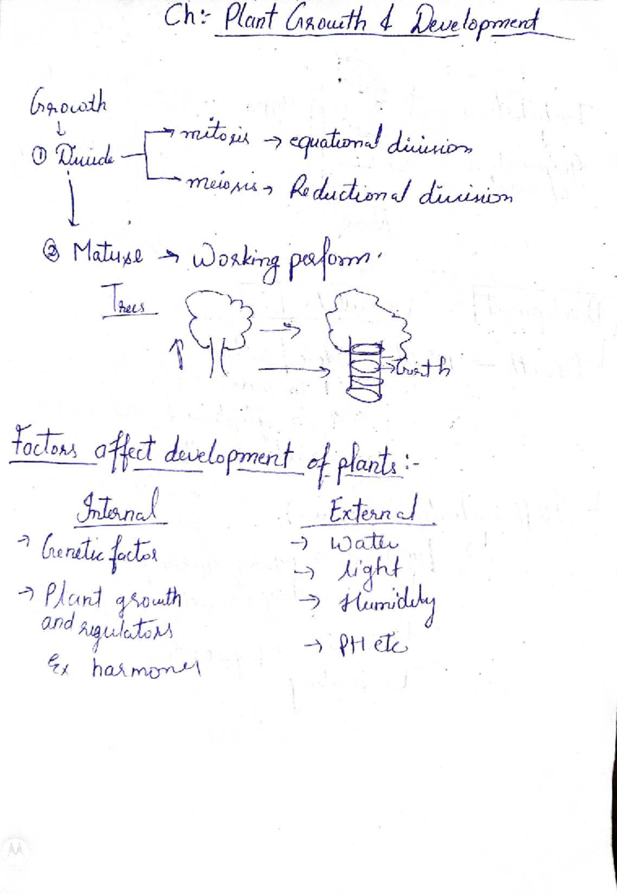 Plant Growth and Development: Factors and Mechanisms Explained - Studocu