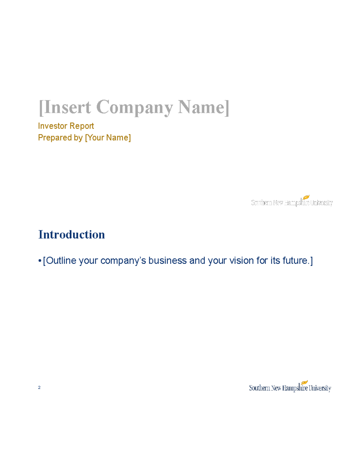 ACC 202 Investor Report Template 2 - [Insert Company Name] Investor ...