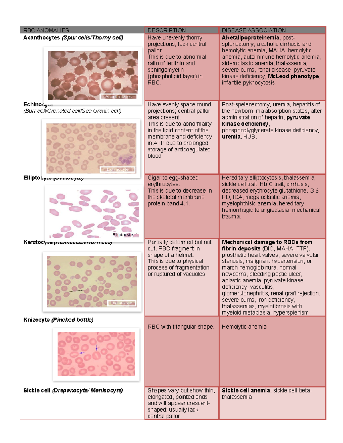 RBC Anomalies: A Comprehensive Review of Morphological Changes - Studocu