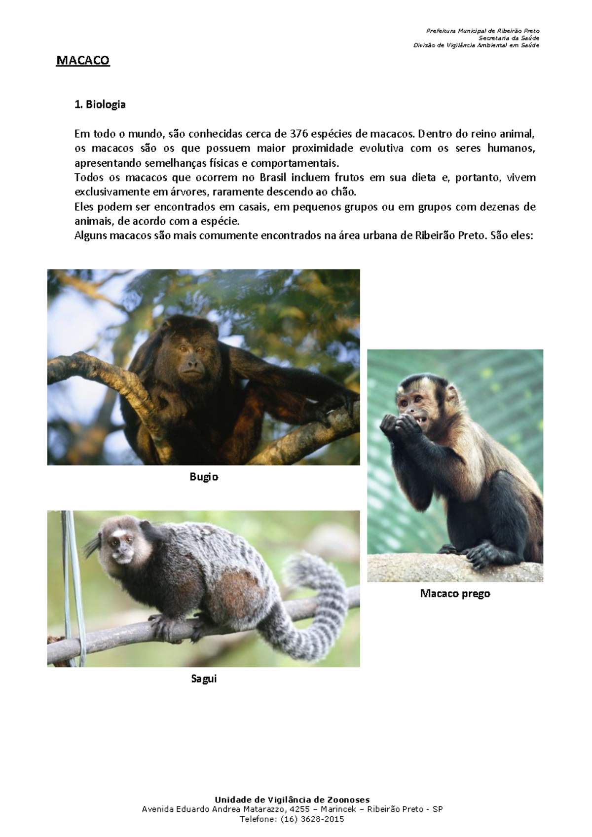Tudo sobre Macaco - Prefeitura Municipal de Ribeirão Preto Secretaria ...