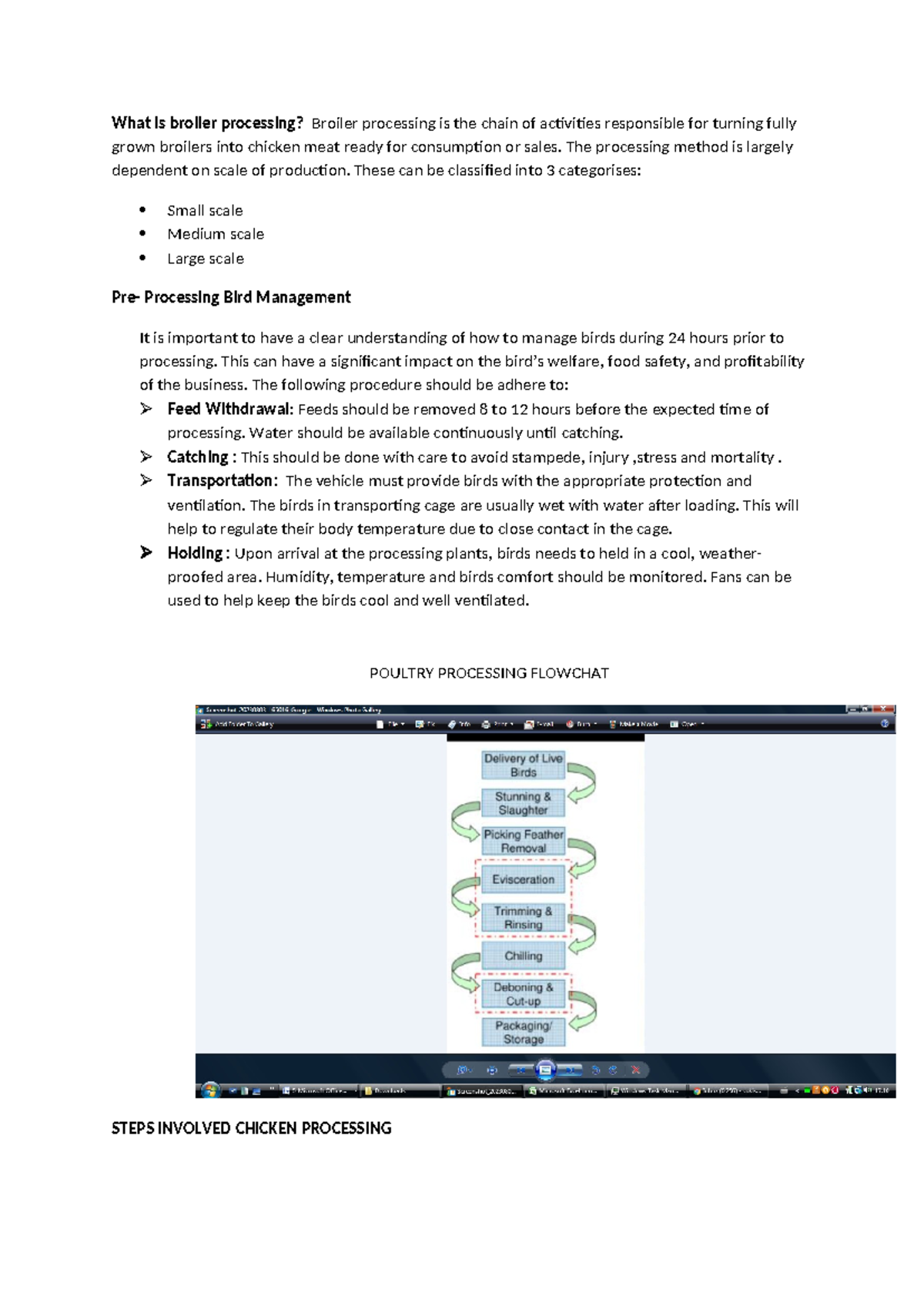 Broiler Processing Overview: Key Steps and Equipment in Poultry ...