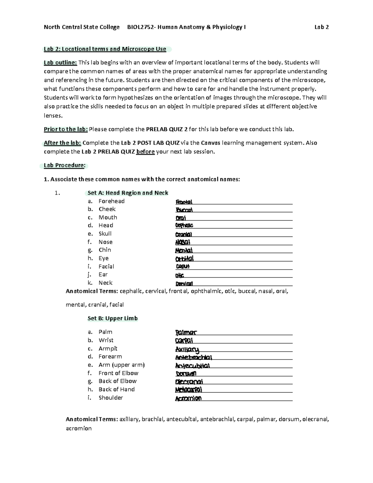 BIOL2752 Lab 2: Locational Terms & Microscope Use Guide - Studocu