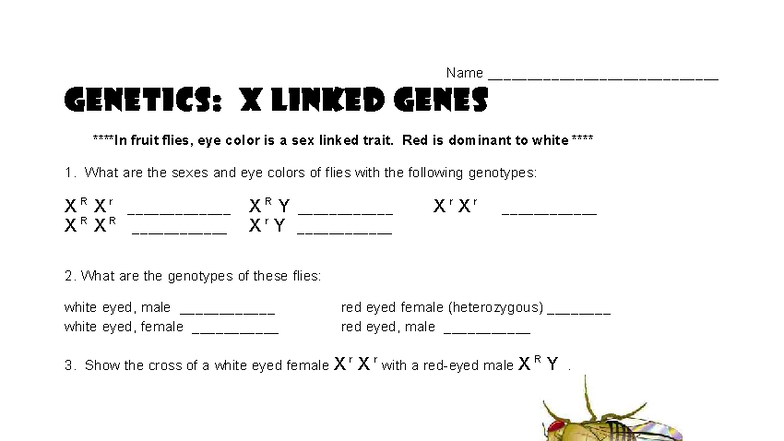 Genetics (ASD): X-Linked Genes in Fruit Flies and Hemophilia Analysis