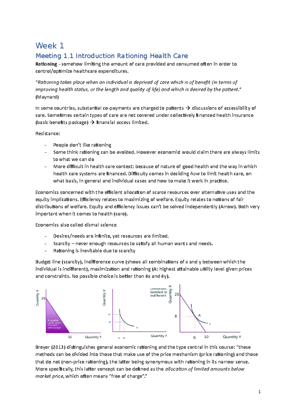 RHC 101 Lecture Summary: Rationing in Health Care Systems - Studeersnel
