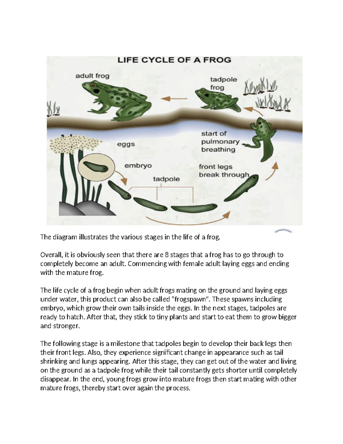 Life Cycle of a Frog and Hot Air Balloon Operation - T1 Diagram - Studocu