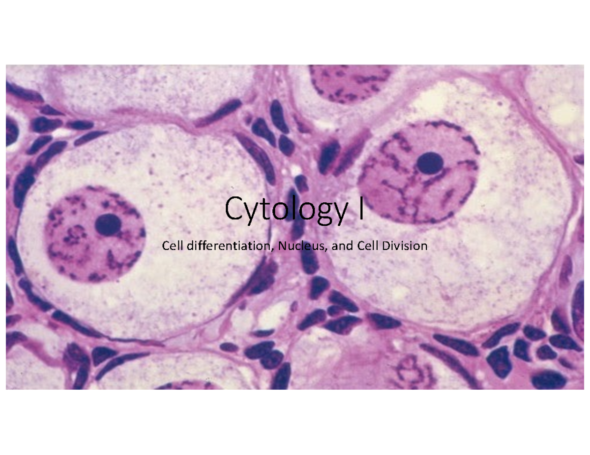 Cytology I: Exploring Cell Differentiation and Nucleus Structure - Studocu