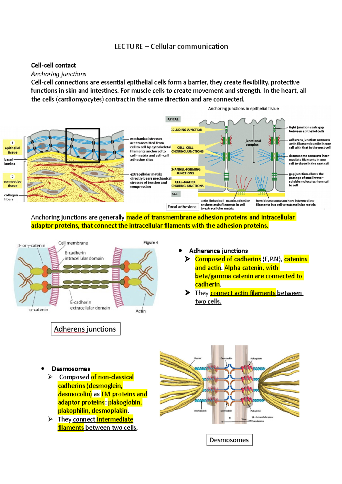 Lecture 1 – Overview of Cellular Communication Mechanisms - Studeersnel
