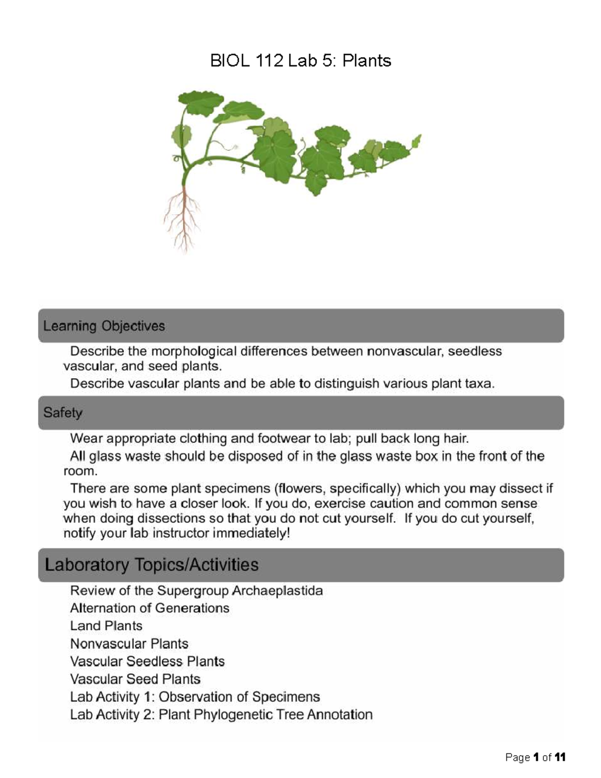 BIOL 112 Lab 5: Archaeplastida and Plant Diversity Overview - Studocu