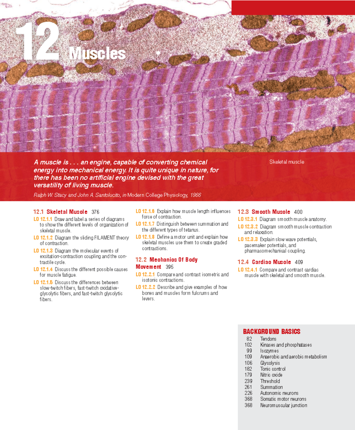 Chapter 12 - Skeletal and Smooth Muscle Notes (Physiology) - Studocu
