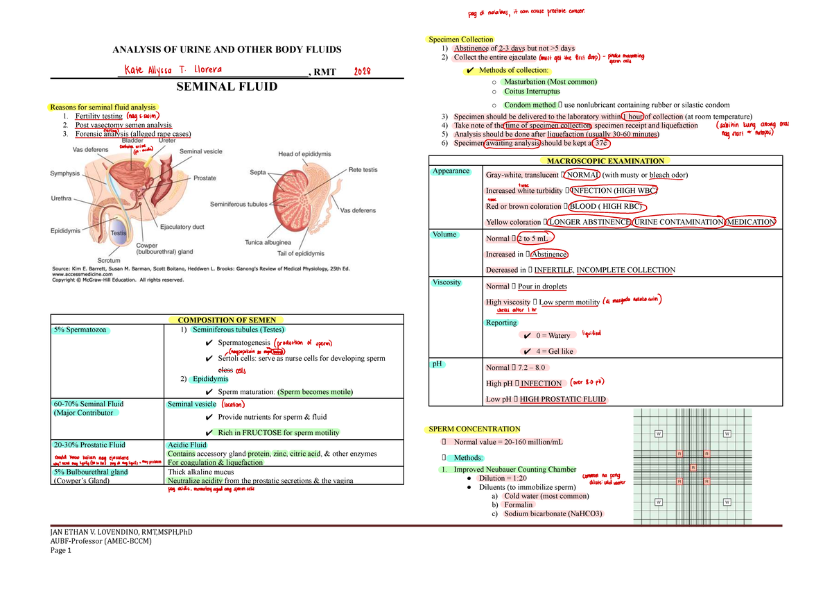 AUBF: Seminal Fluid Analysis and Specimen Collection Guide - Studocu
