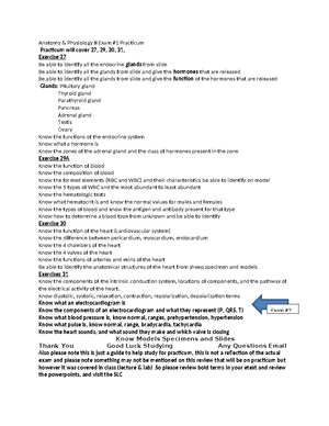 Lung Volumes Worksheet Solutions - Exercise on Respiratory Capacities ...