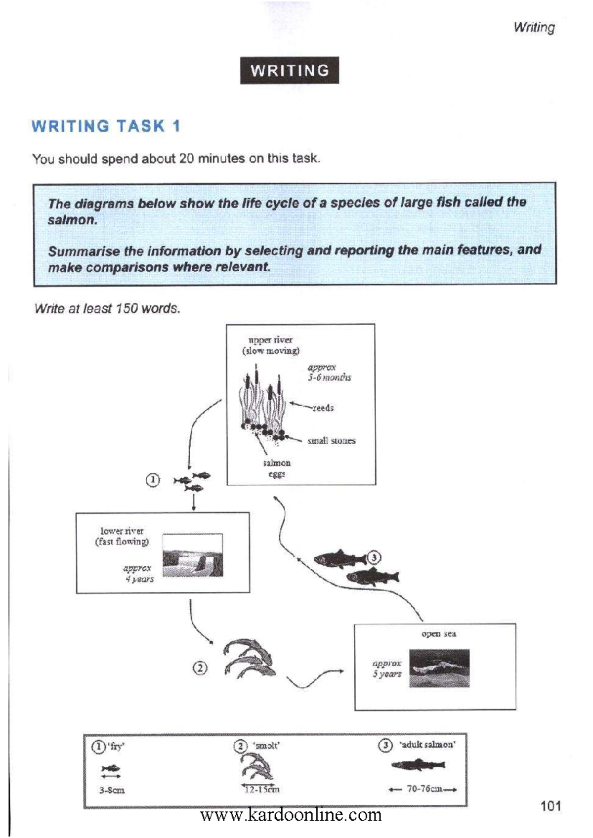 Writing Task 1: Salmon Life Cycle - Cam 10, Test 4, Unit 5 - Studocu