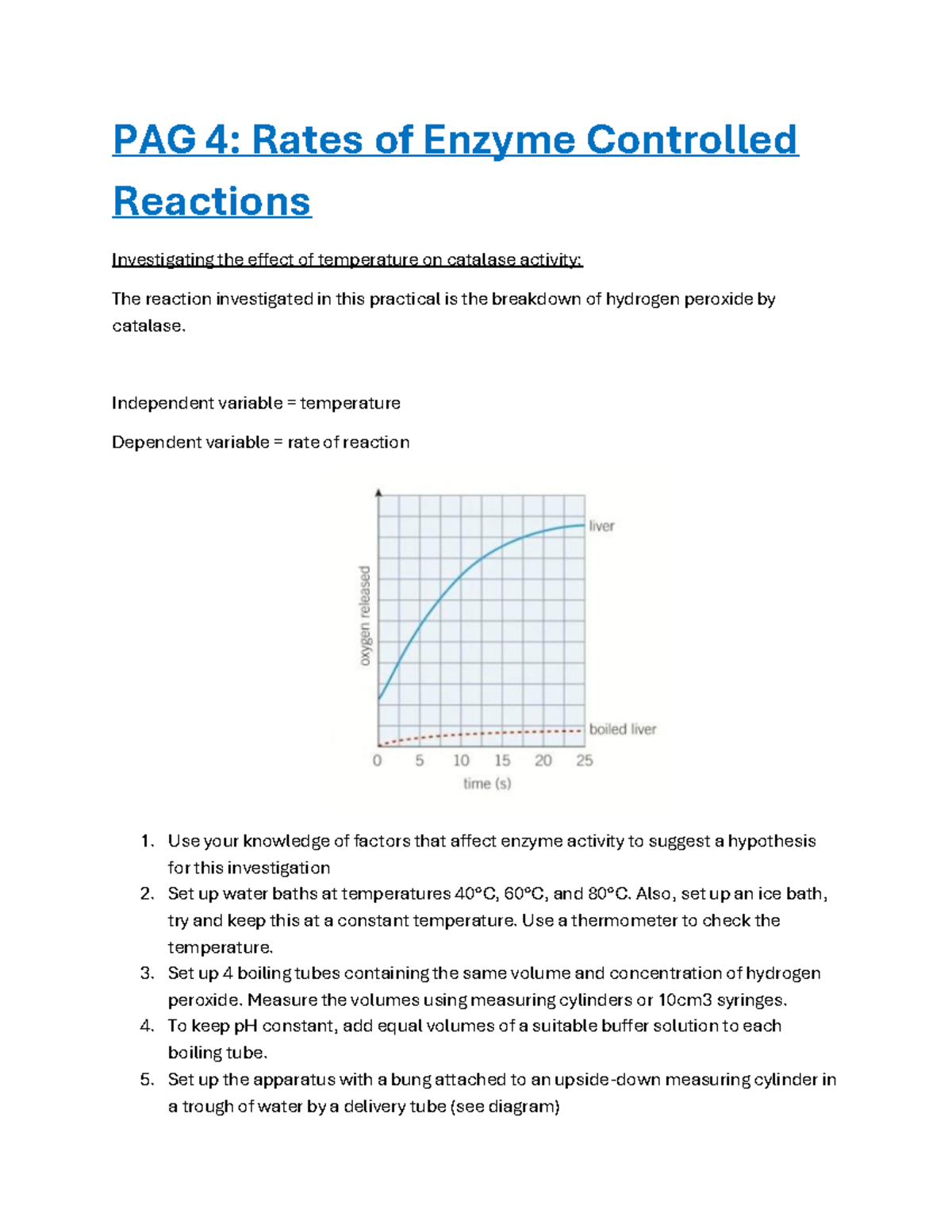 PAG 4: Enzymes Practical Analysis - Temperature & Concentration Effects ...