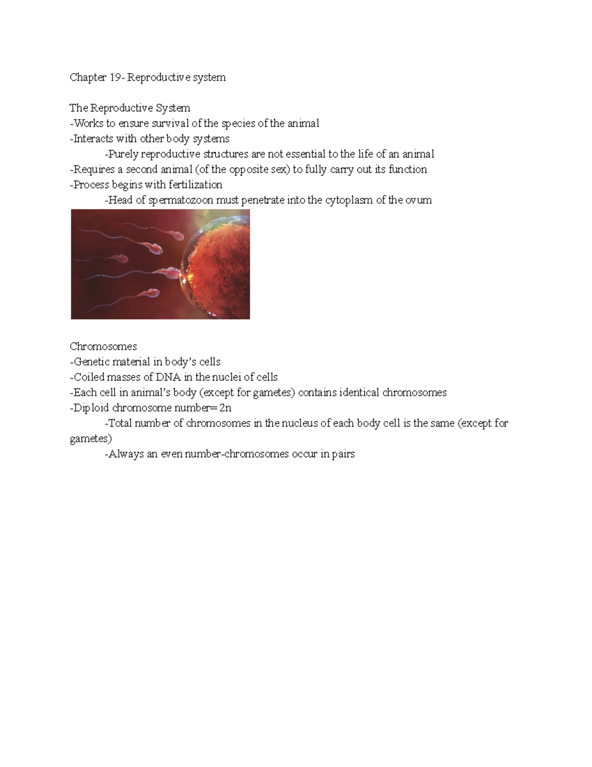BIO 116 - Chapter 19: In-Depth Analysis of the Reproductive System ...