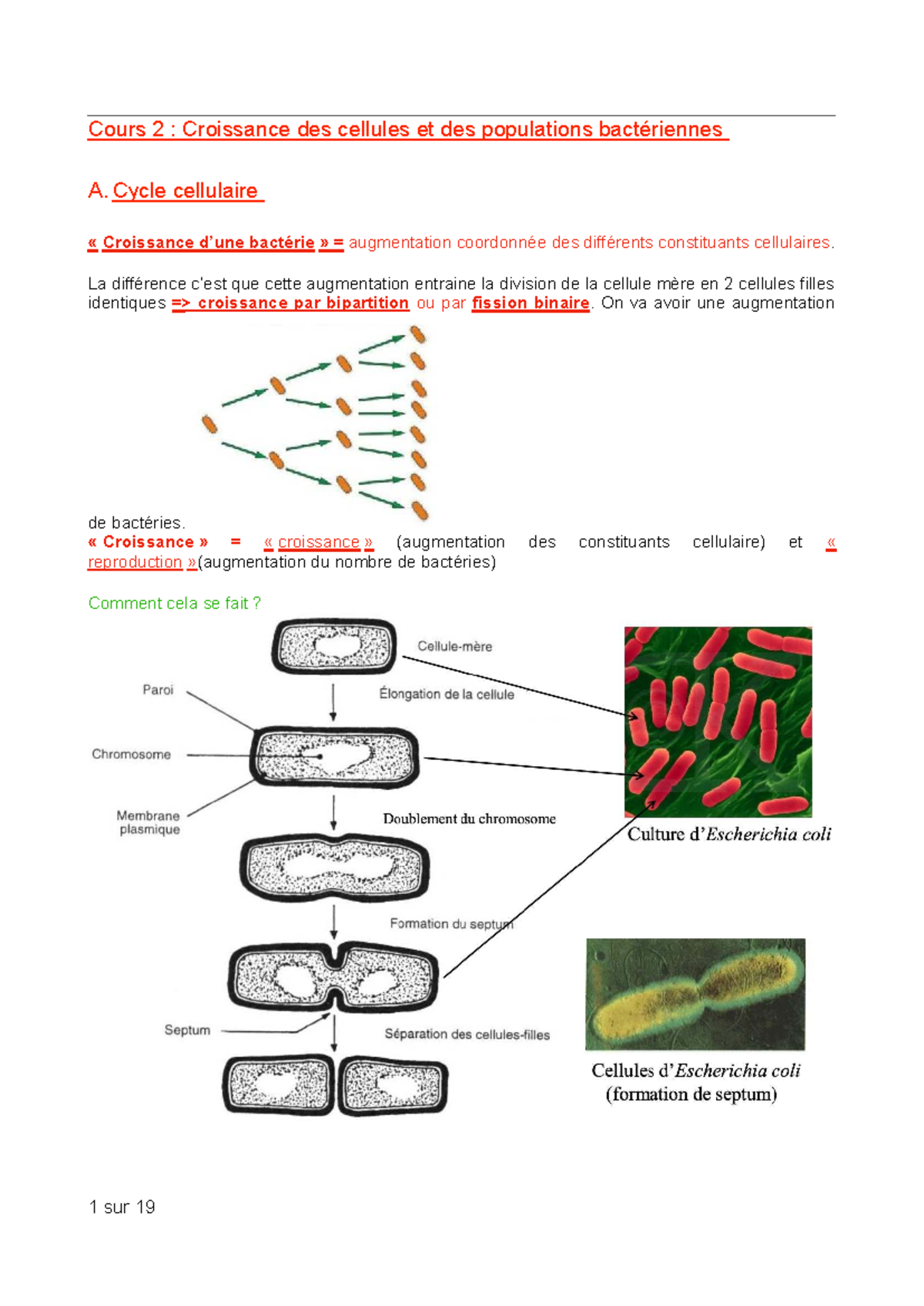 Cours 2 : Croissance des Cellules et Populations Bactériennes - Cycle et
