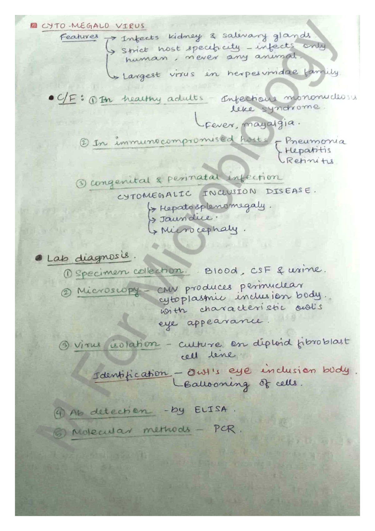 CYTO 101: Concise Notes on Cytomegalovirus Features and Diagnosis - Studocu