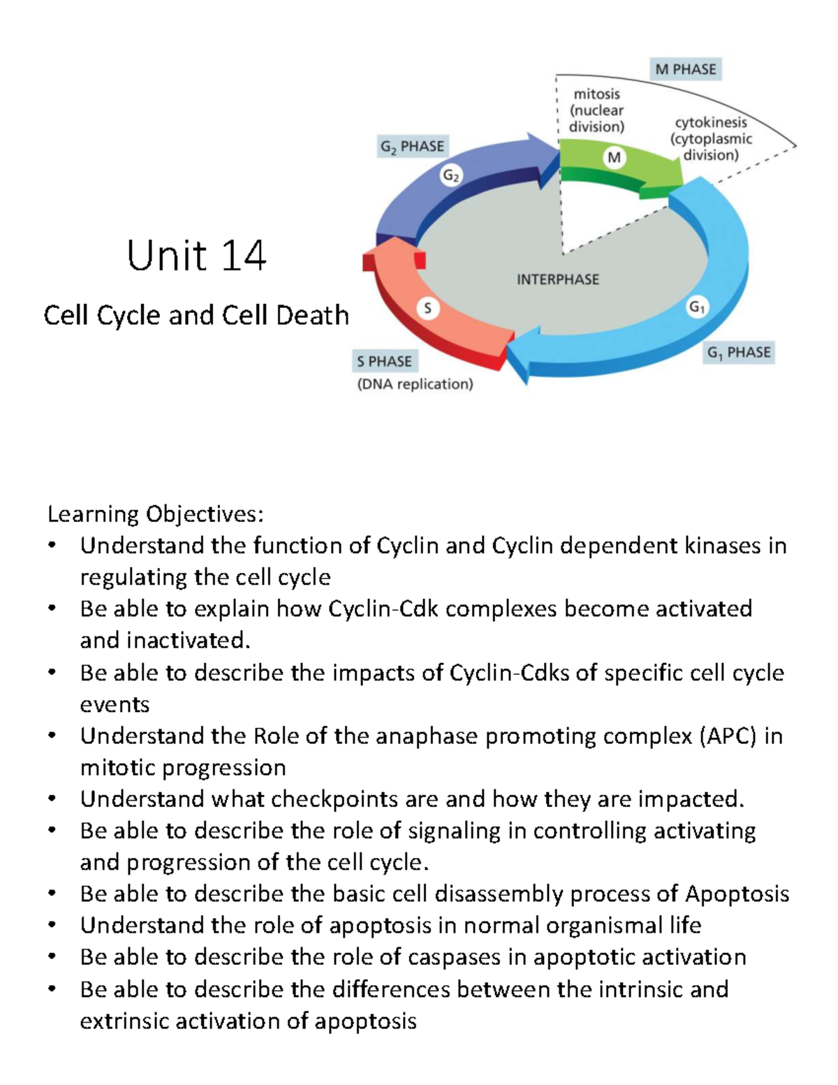 Unit 14: Cyclins, Cdks, and Apoptosis - Cell Cycle Regulation Insights ...