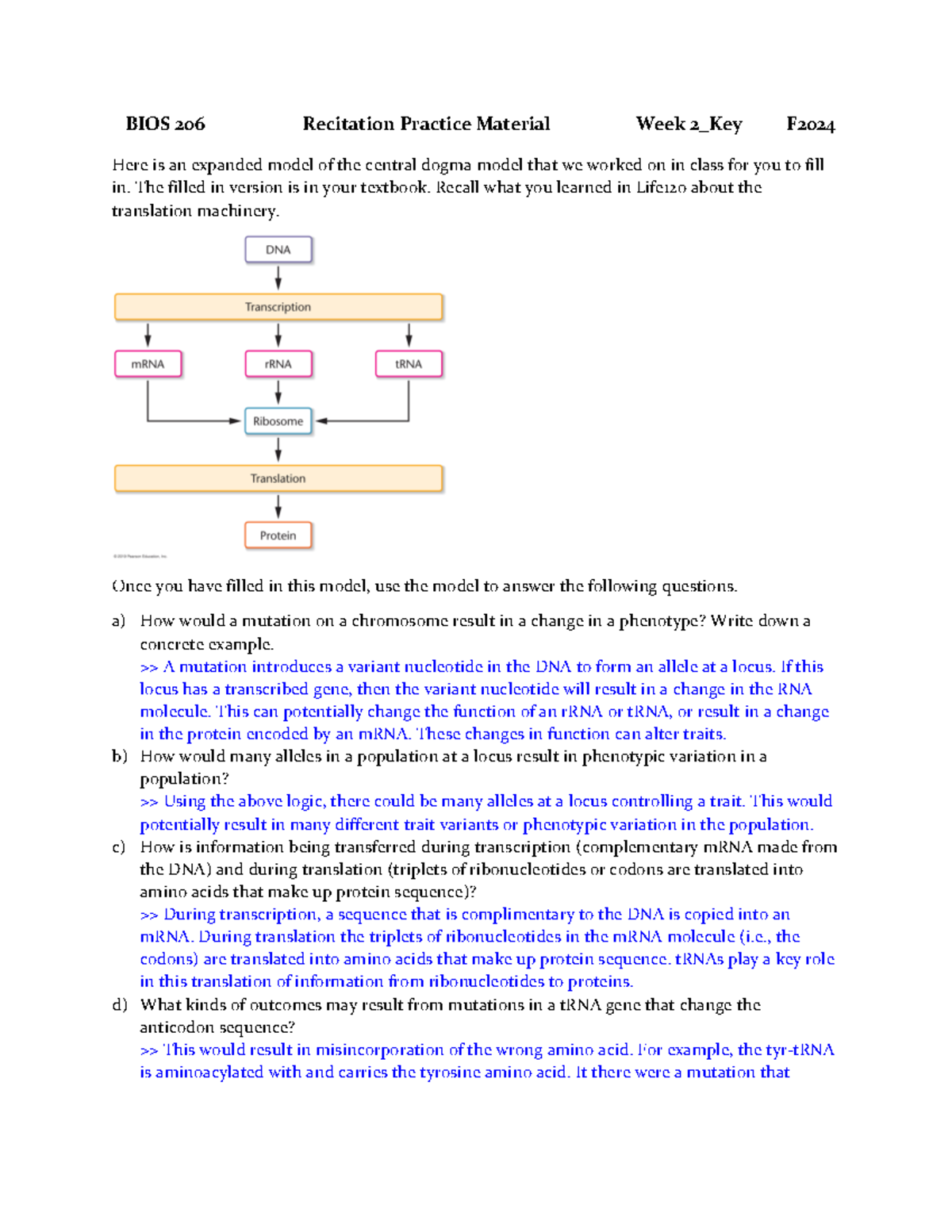 BIOS 206 Recitation Week 2 Practice Material Key F 2024 - Studocu