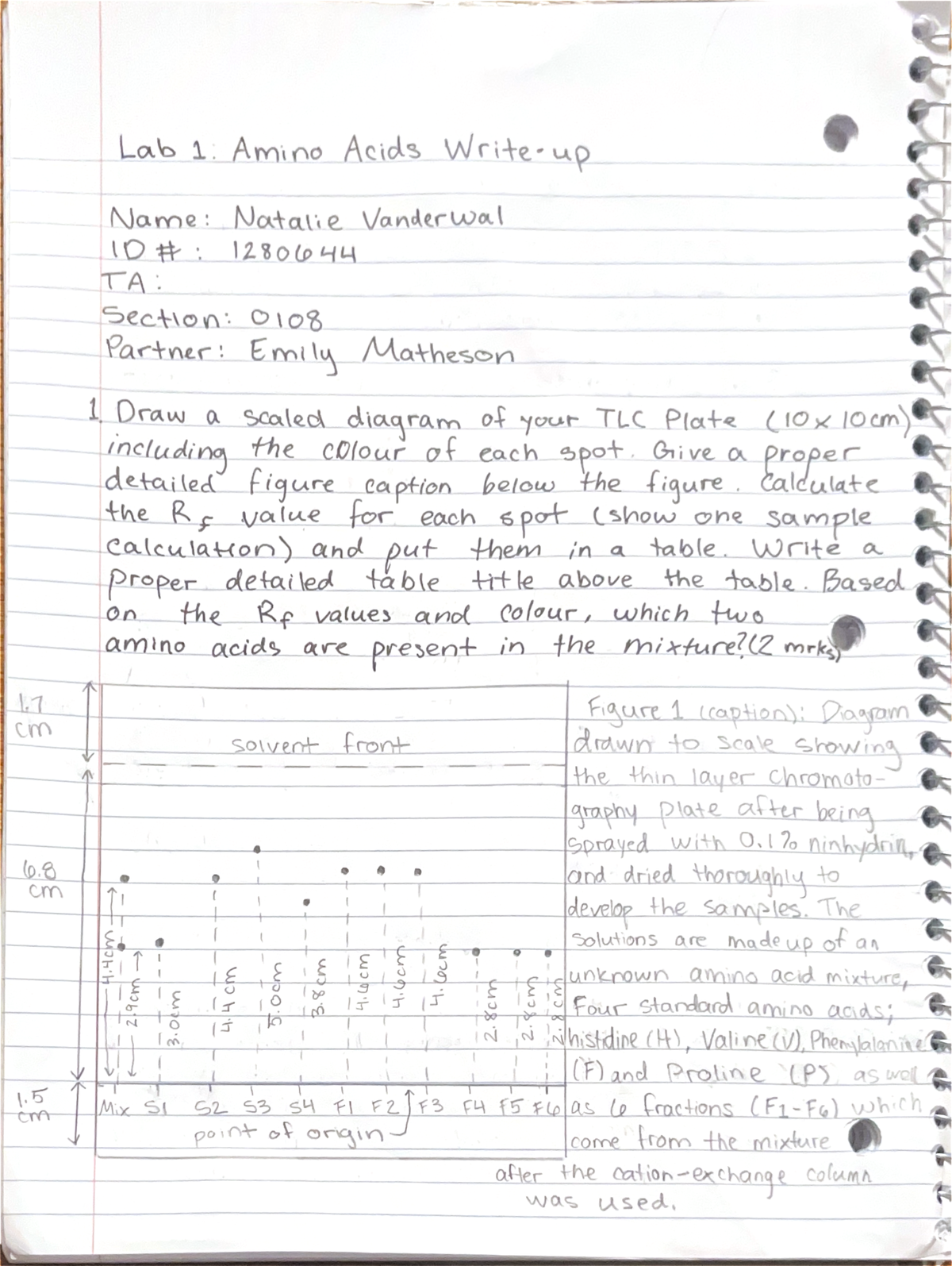 Lab 1: TLC Analysis of Amino Acids - Biochem Lab Write-Up - Studocu
