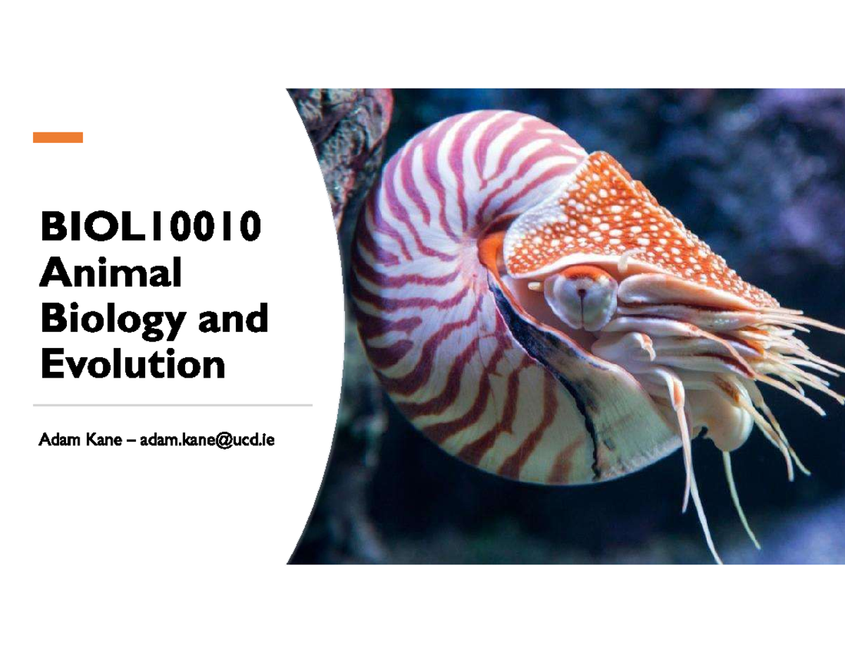 BIOL10010 Animal Biology & Evolution: Lab Evaluation Notes - Studocu