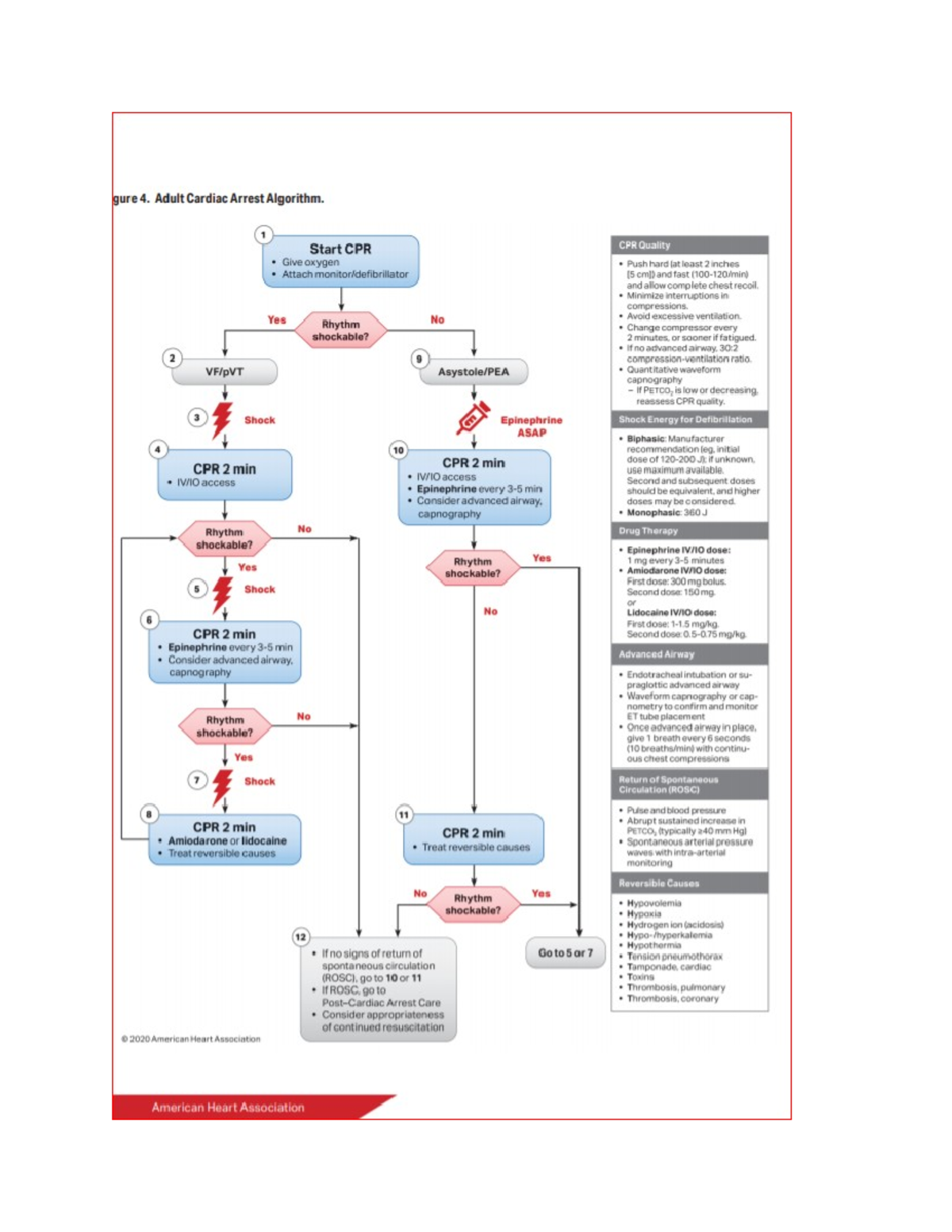 ACLS Adult Cardiac Arrest Algorithm Overview and Guidelines - Studocu