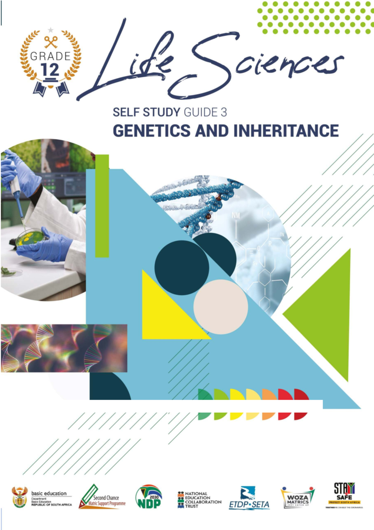 Life Sciences-Genetics and Inheritance Study Guide (Grade 12) - Studocu