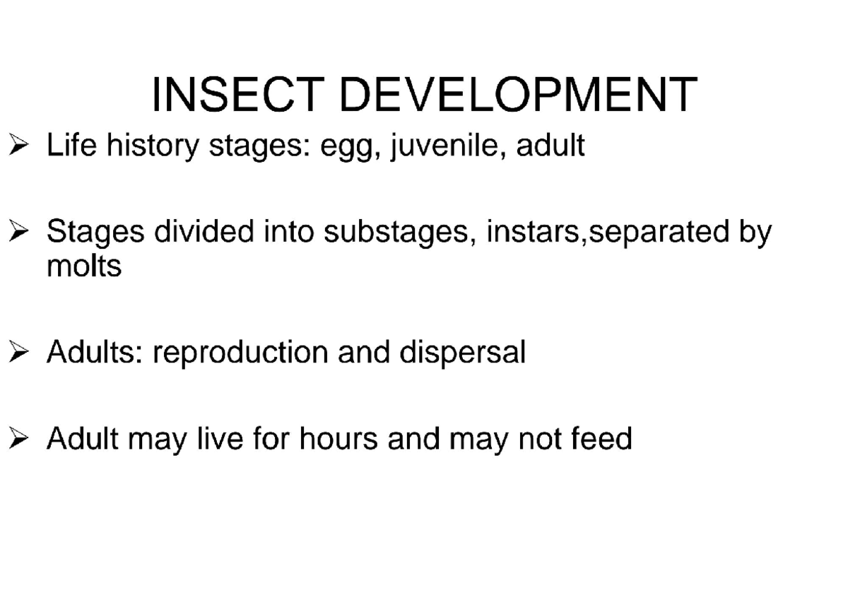 Insects 6739dc855cc294622 f134cf6ccf92058 - INSECT DEVELOPMENT Life ...