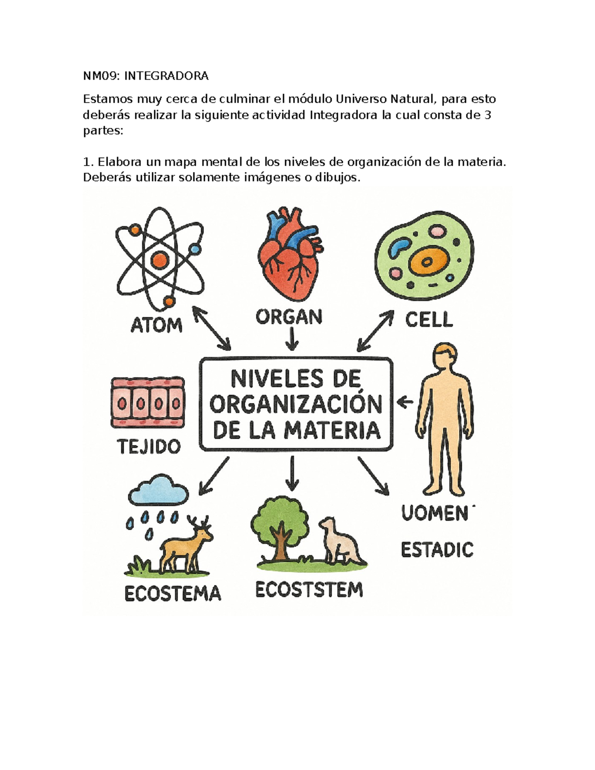 NM09: Actividad Integradora sobre el Universo Natural - Studocu