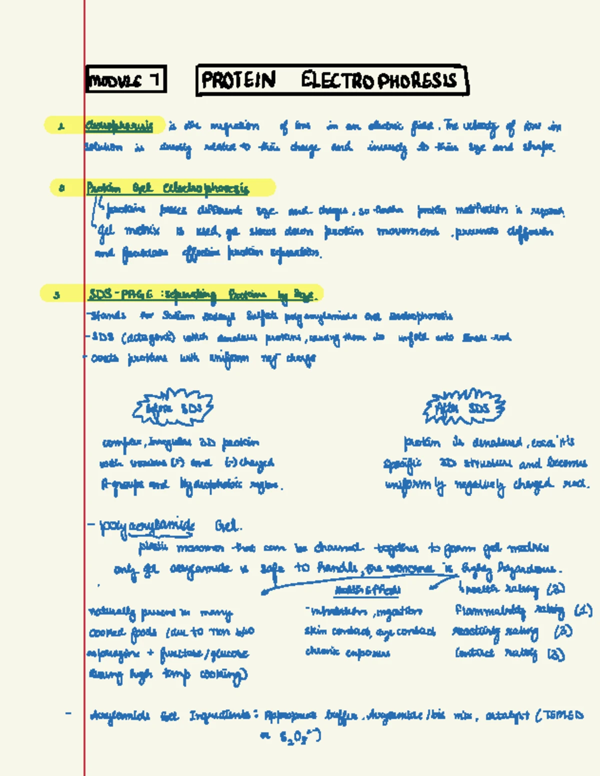 lab 4 report- Bacterial Growth and Antibiotic Mechanisms - BMSC
