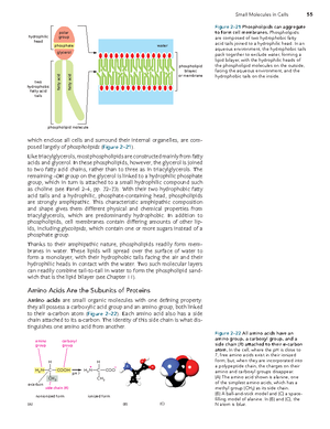 Protein Structure and Function (ECB4): Insights into Shape and Activity ...