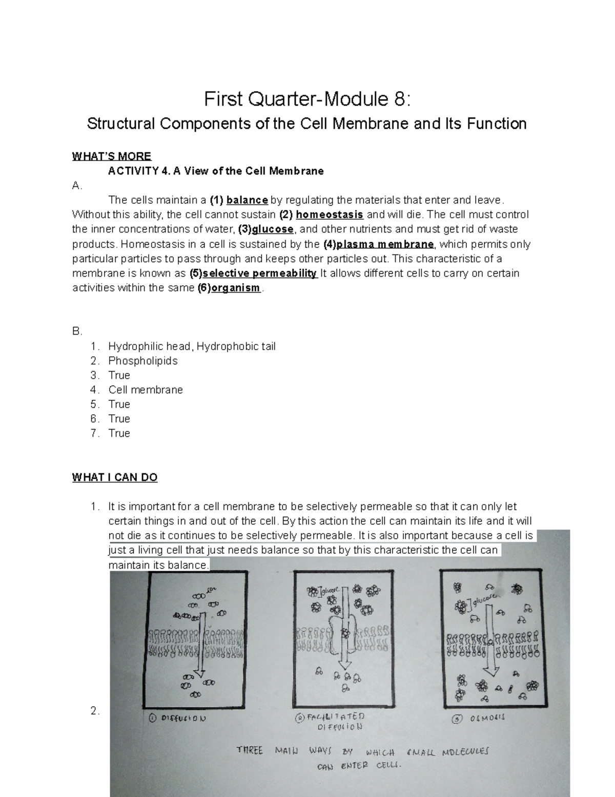 BIO 101 Final Exam: Structural Components of the Cell Membrane - Studocu