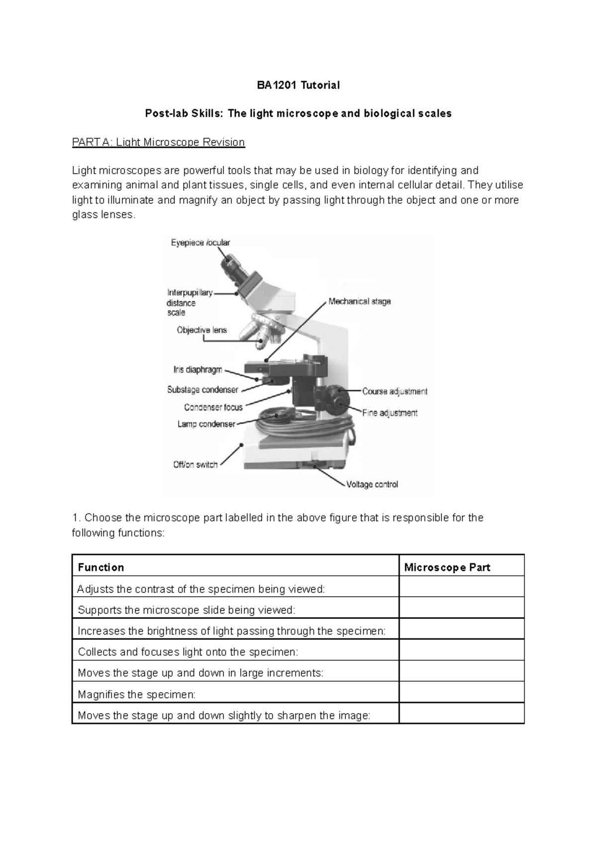 BA1201 T5.1 Light microscope and scales Worksheet - BA1201 Tutorial ...