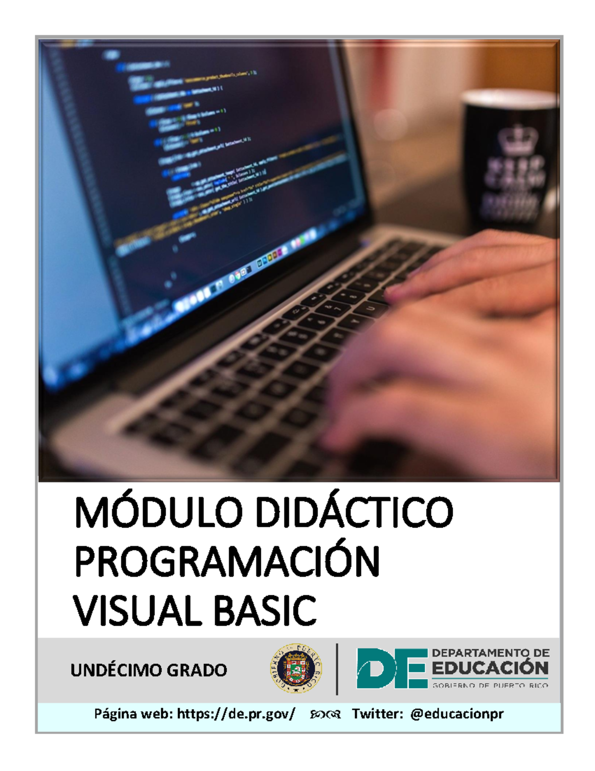 Programación Visual Basic parte 1 - M”DULO DID¡CTICO PROGRAMACI”N ...