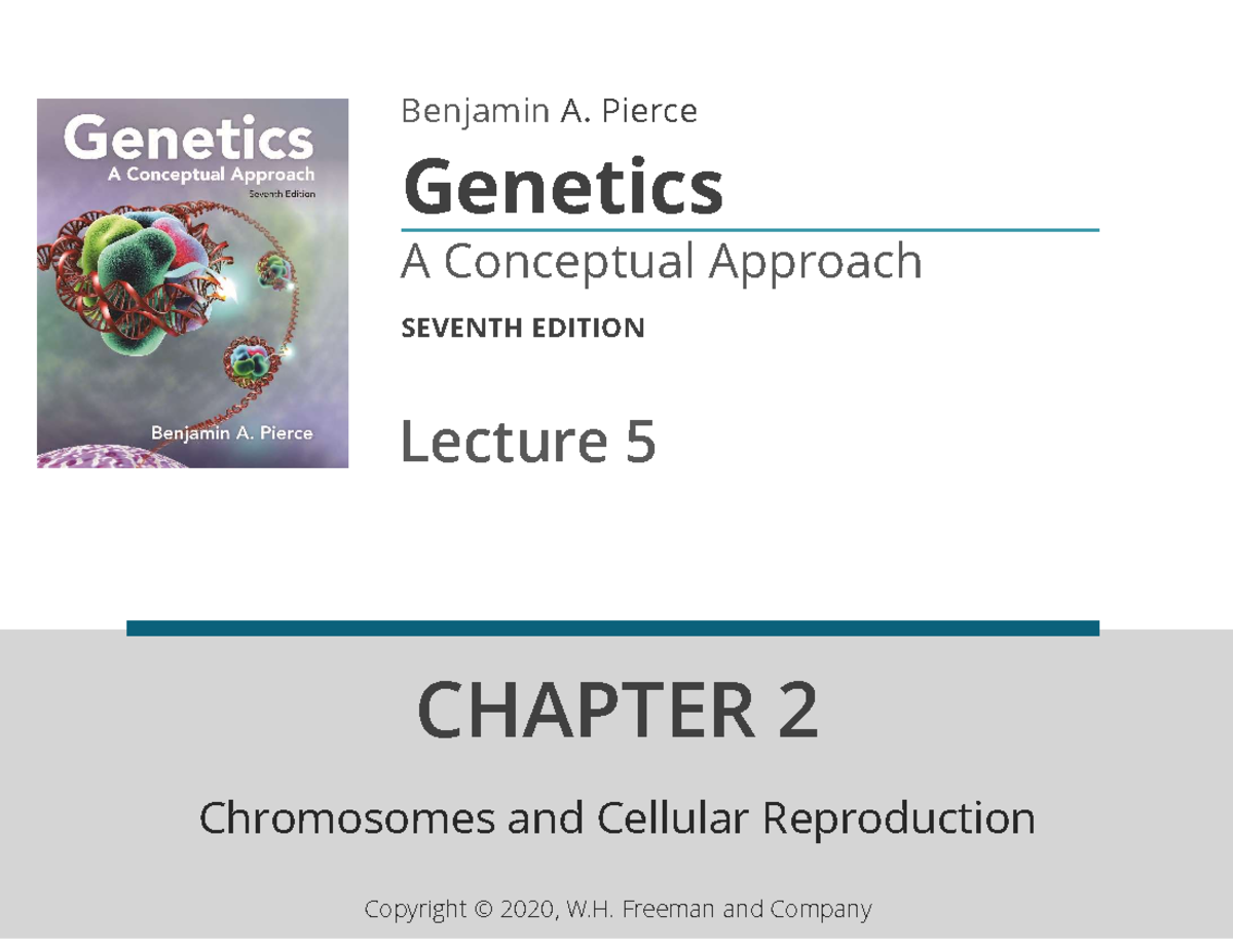 Genetics 7th Ed. Lecture 5: Chromosomes & Cell Reproduction Study Guide ...