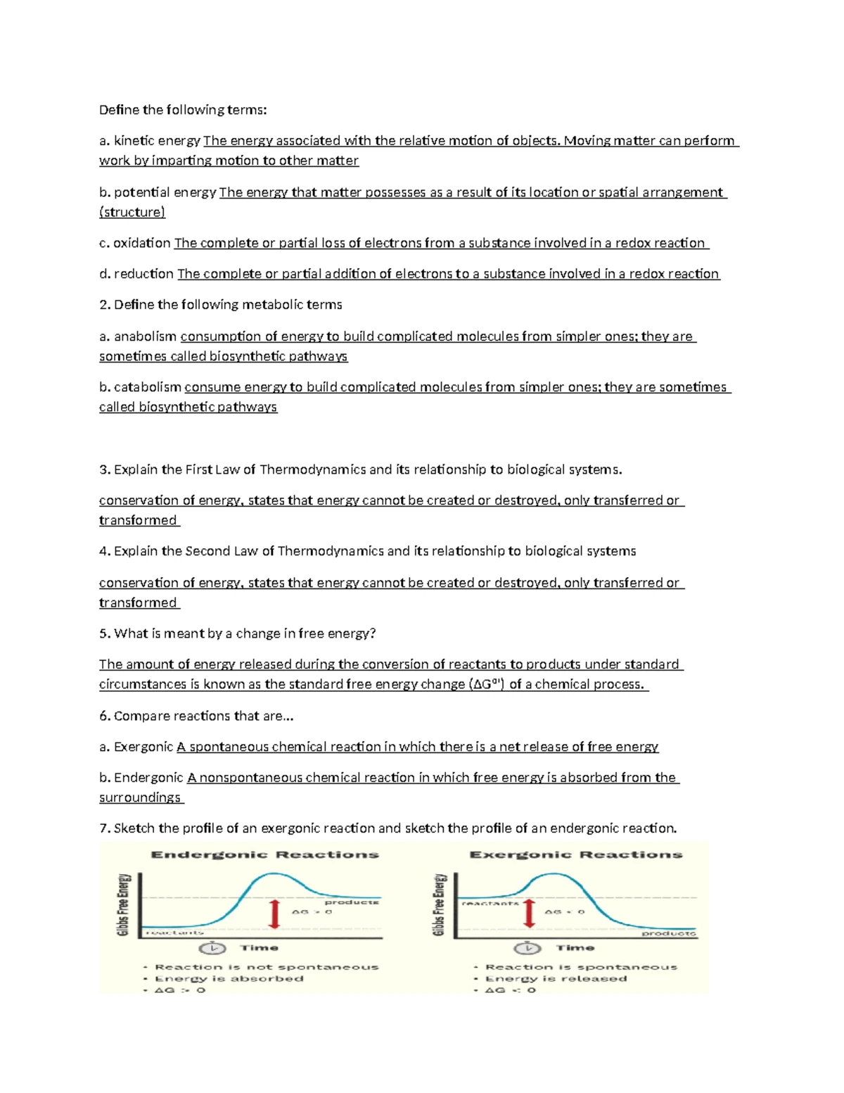 W5_LW_Protein_Analysis_Worksheet - Name: Instructor & Section: Protein ...