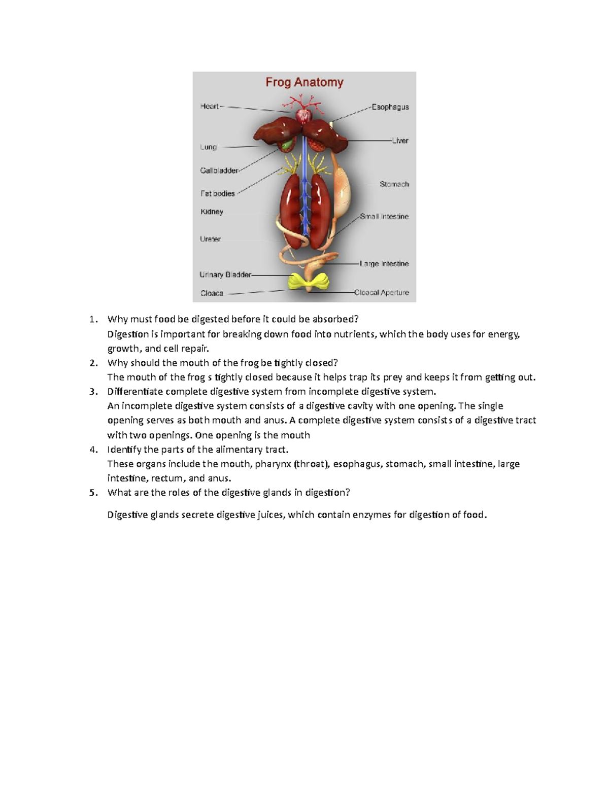 M3A5 Post Lab Activity: Understanding Digestive Systems and Functions ...