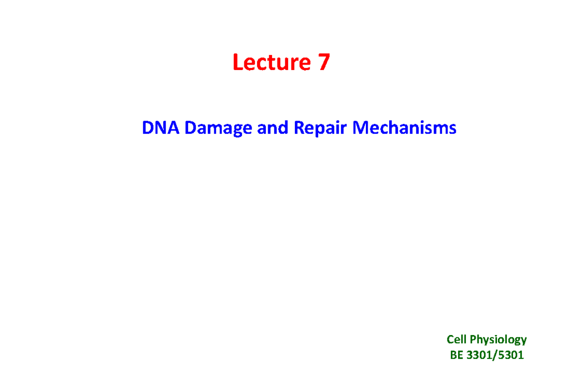 DNA Damage and Repair Mechanisms in Cancer Treatment - BE 3301/5301 ...