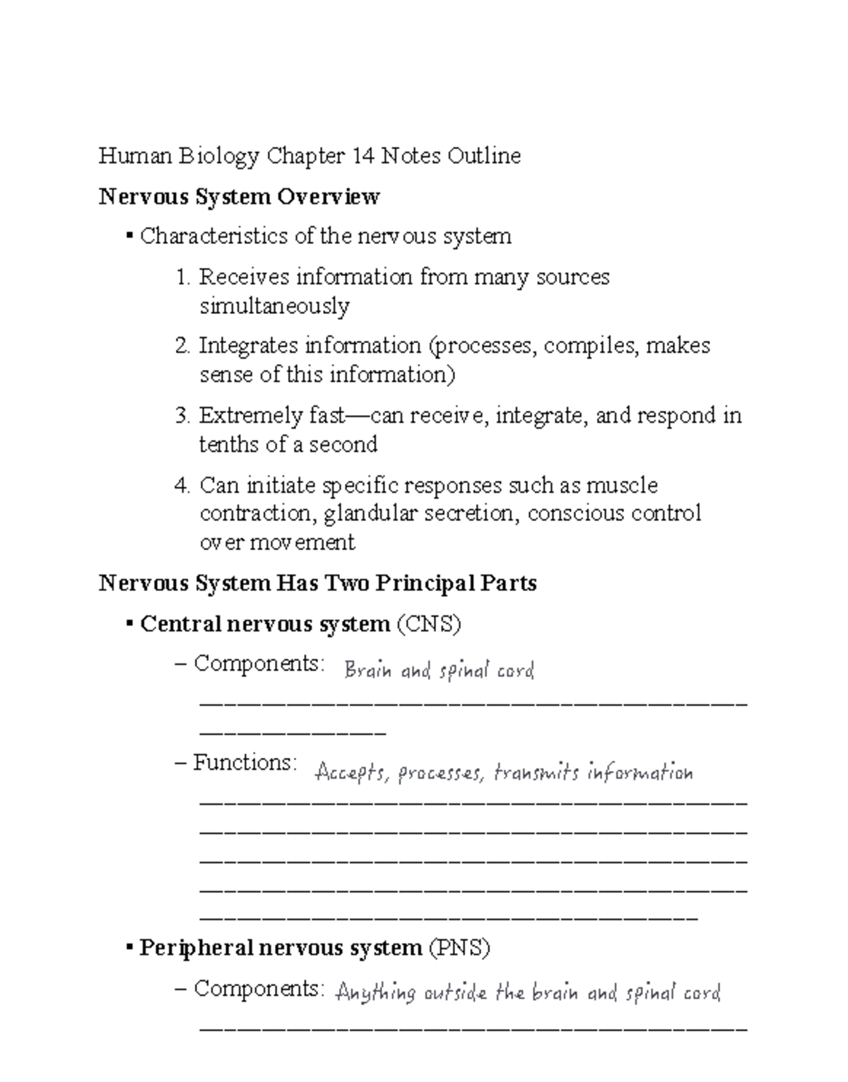 Human Biology BIOL101 Chapter 14: Nervous System Overview Notes - Studocu