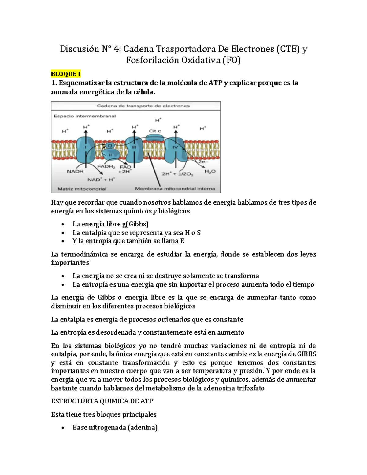 Discusión 4: Cadena de Transporte de Electrones y Fosforilación Oxidativa  (CTE y FO) - Studocu, image size:1200x1553