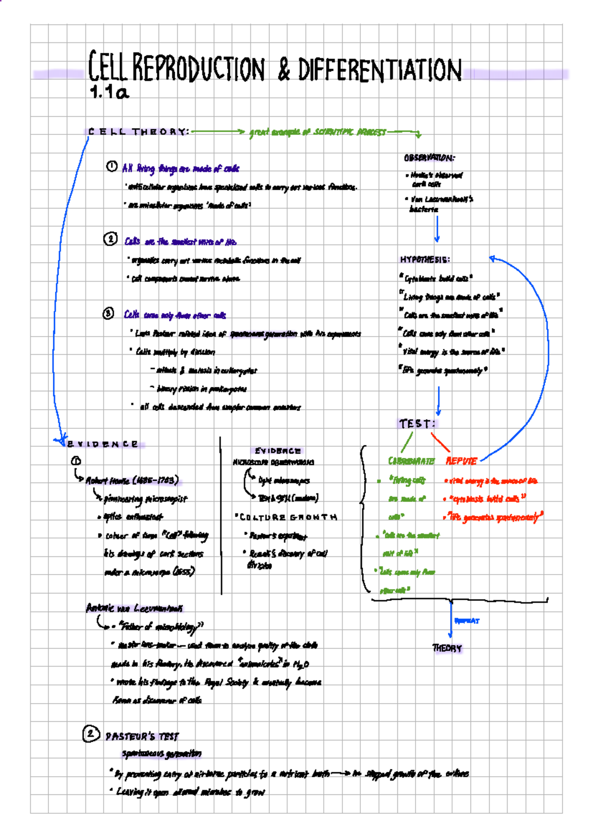 1.1 a Cell Reproduction and diffren - CELL REPRODUCTION DIFFERENTIATION ...