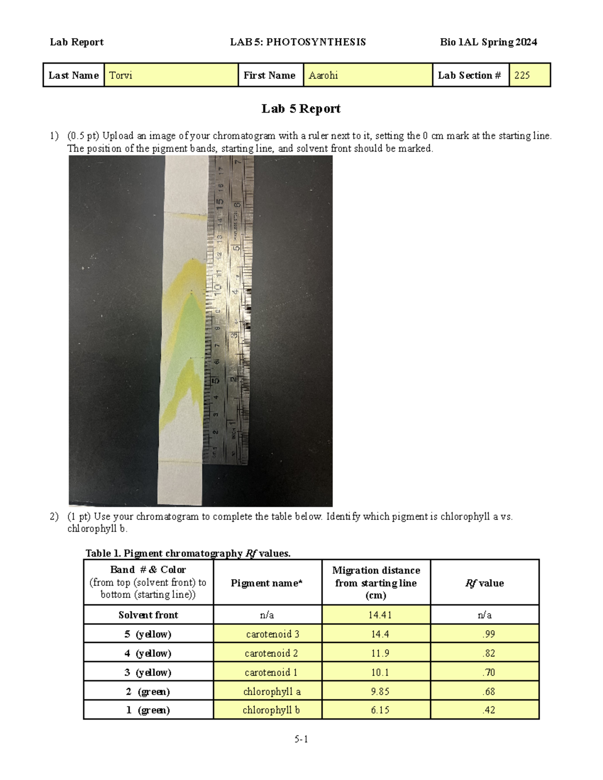 Lab 5 - Photosynthesis Report (Biol 225) - Spring 2024 - Studocu