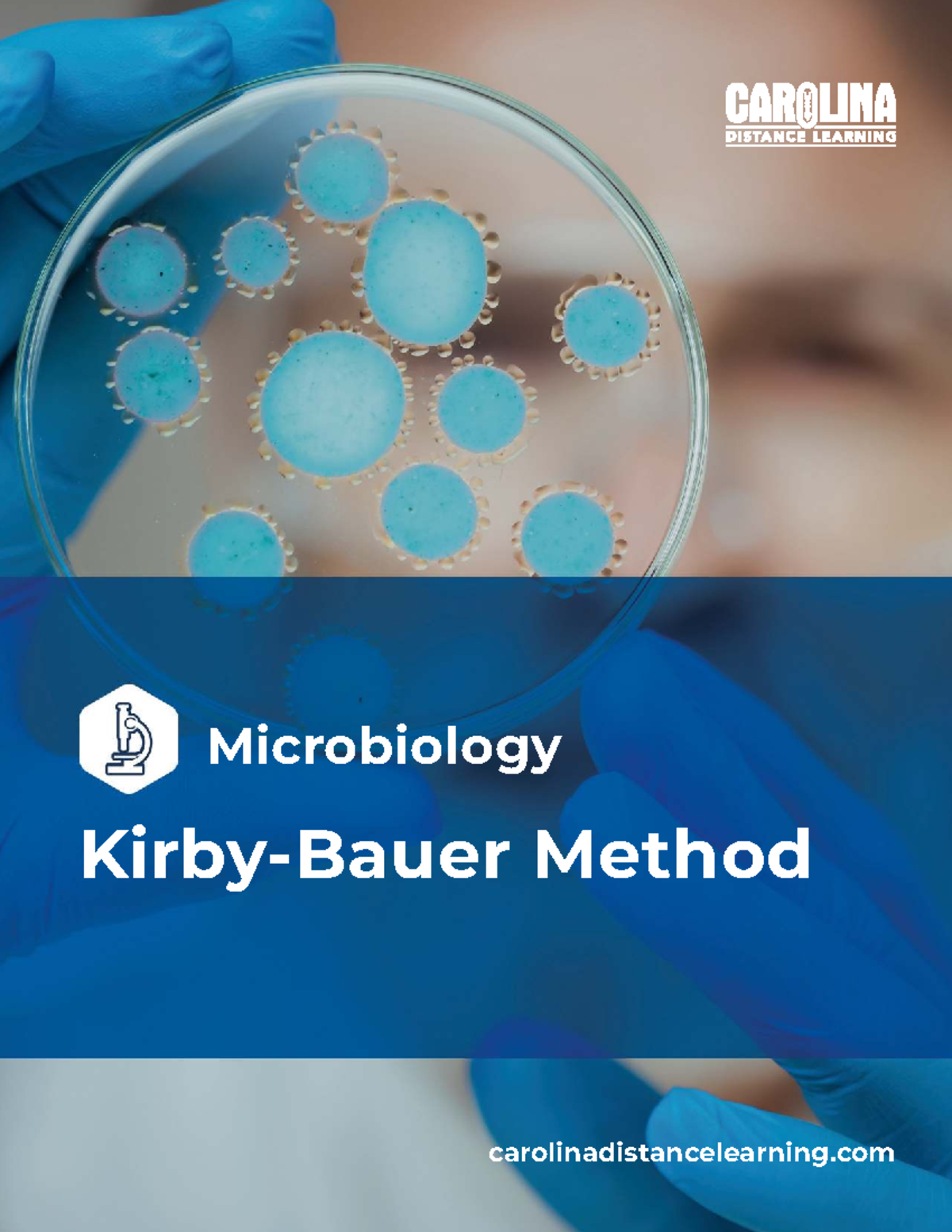 Microbiology Lab 7: Kirby-Bauer Method for Antibacterial Testing - Studocu