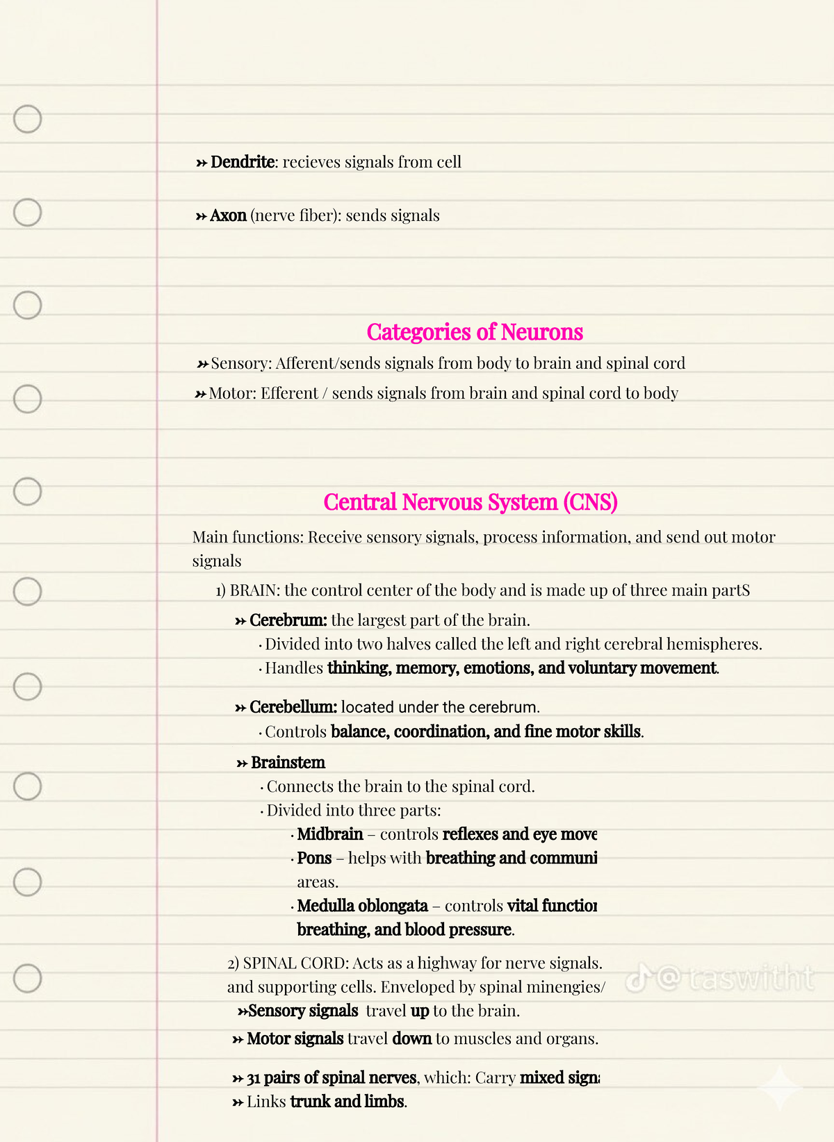 NEUR 101: Neuron and CNS Overview Notes - Studocu