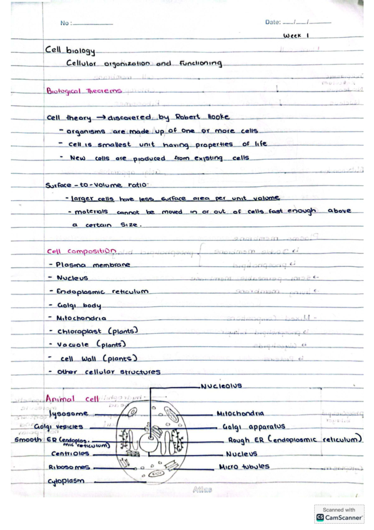 Week 1 Notes: Human Biology (Cell Biology & Cellular Organization ...