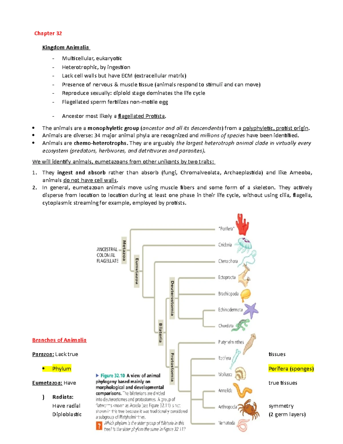 Lab 10: Angiosperm Structure and Anatomy Overview 33125 - Studocu