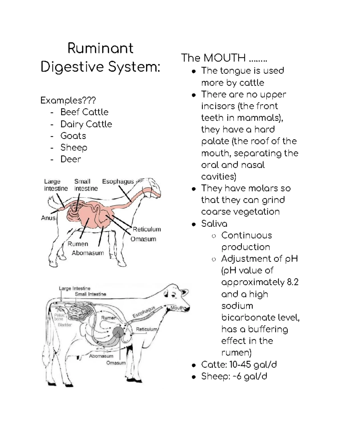 LASC 365 Animal Health & Welfare Study Guide for Exams 2 and 3 - Studocu