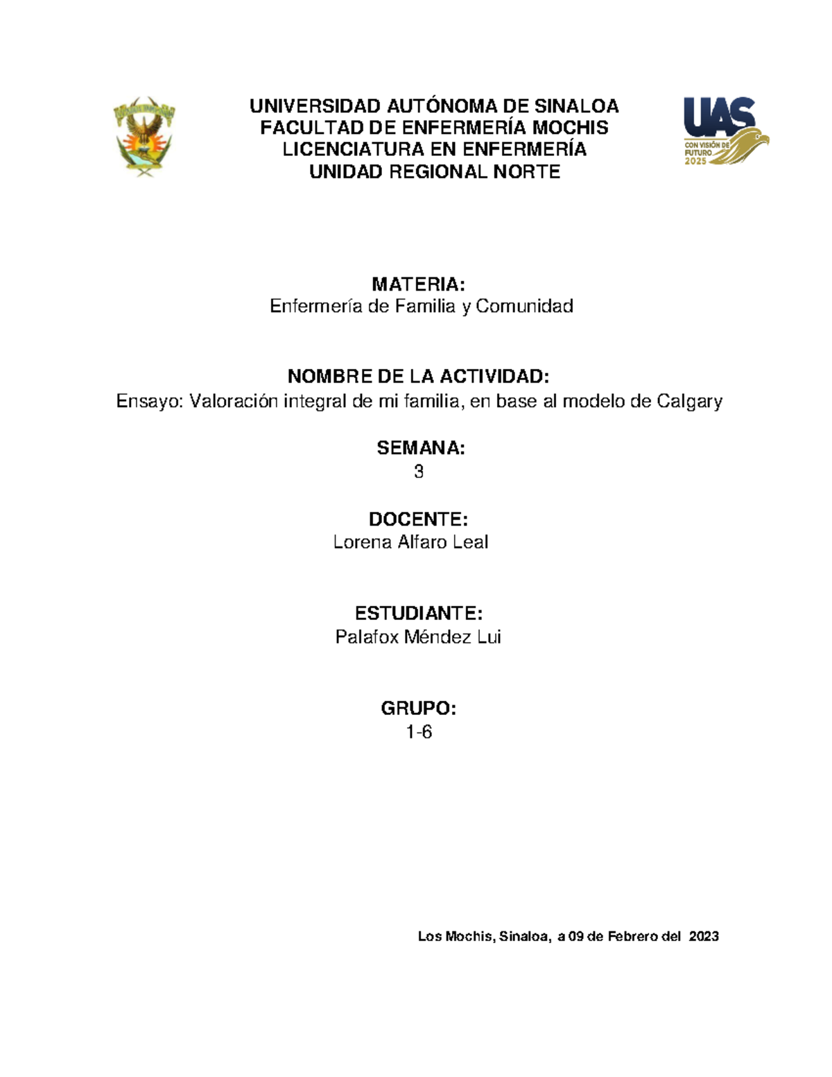 Ensayo: Valoración Integral Familiar según el Modelo de Calgary ...