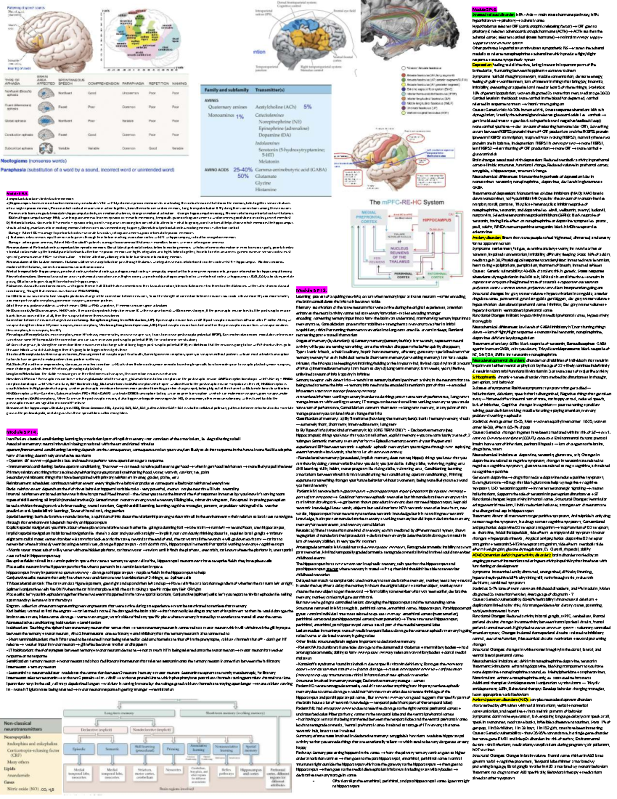 FBBC Final Exam Cheat Sheet: Key Concepts and Terms - Studocu