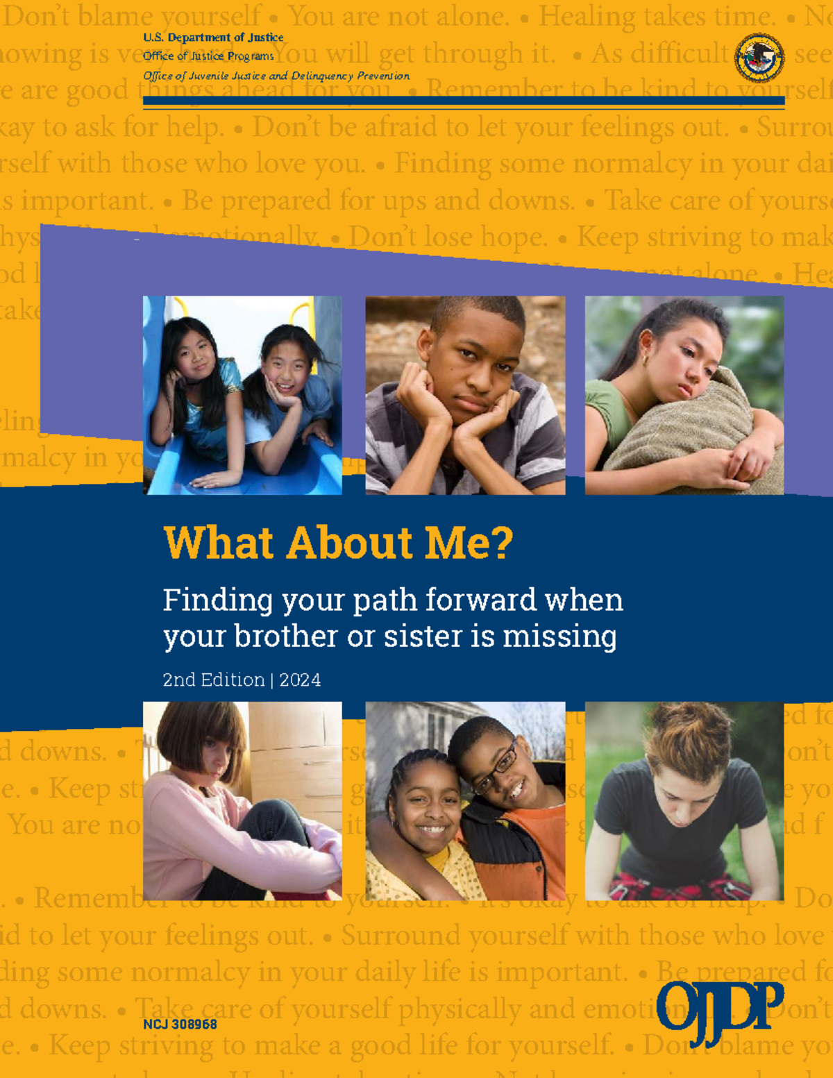 What About Me? Finding Your Path Forward When a Sibling is Missing ...