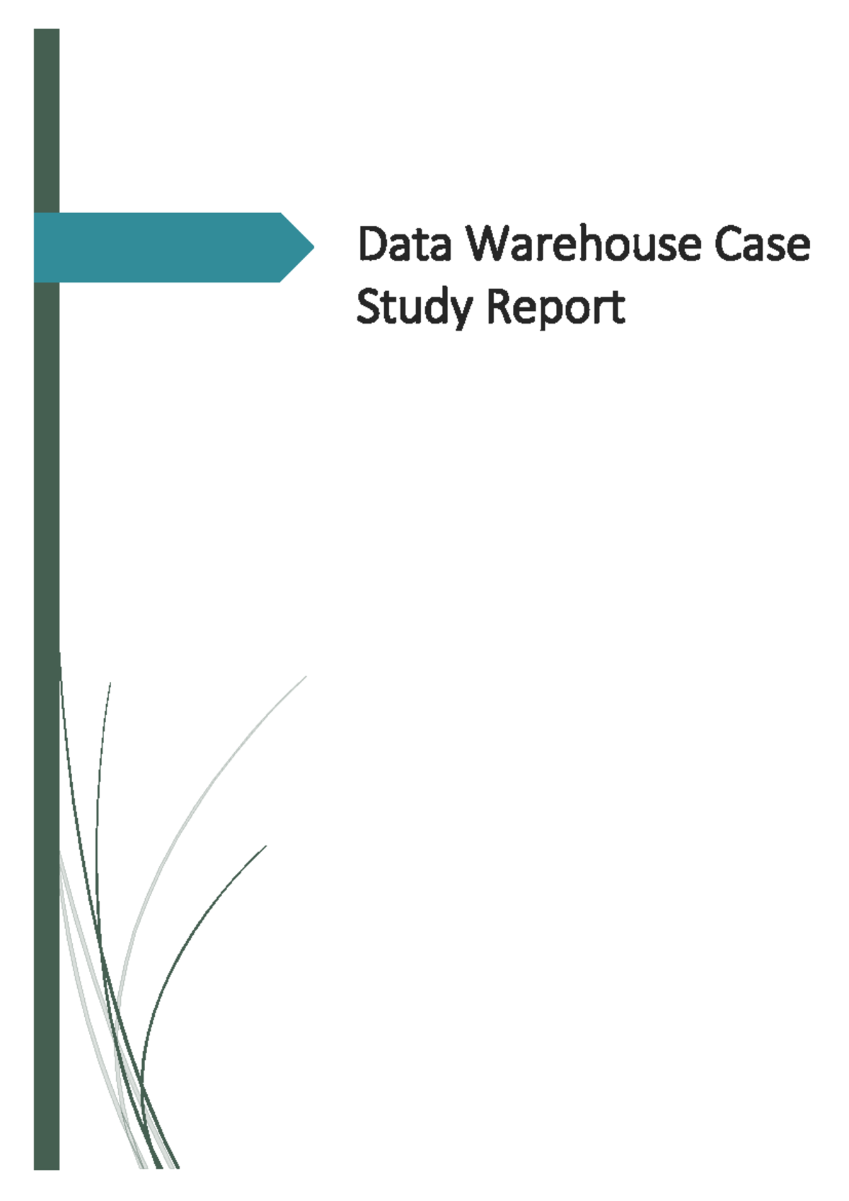 CCS3307 - Data Warehouse Case Study Report and Analysis - Studocu